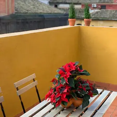 The Bell Ringer House Seville